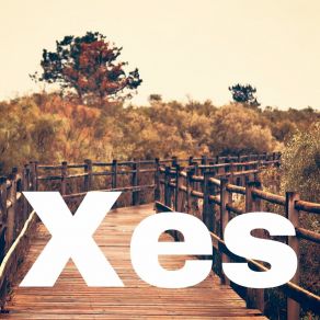 Xes album cover