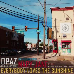 Everybody Loves The Sunshine album cover