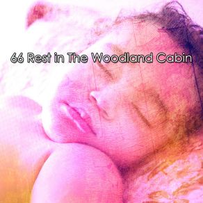 66 Rest In The Woodland Cabin album cover