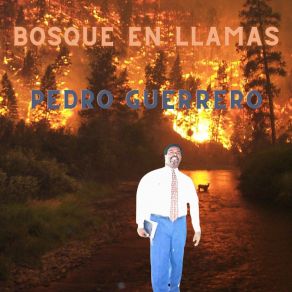 Bosque En Llamas album cover