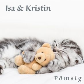 Pömsig album cover