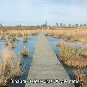 11 Binaural Beats Auras Of Meditation album cover