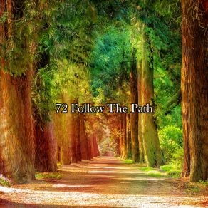 72 Follow The Path album cover