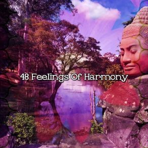 48 Feelings Of Harmony album cover