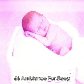 66 Ambience For Sle album cover