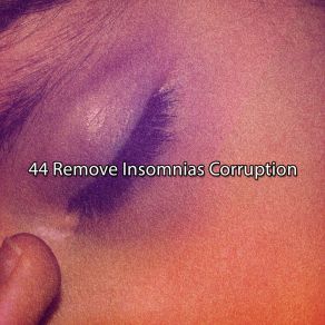 44 Remove Insomnias Corruption album cover
