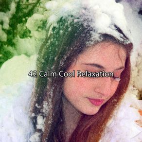 42 Calm Cool Relaxation album cover