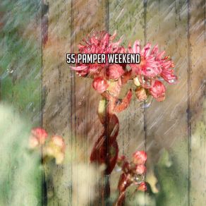 55 Pamper Weekend album cover
