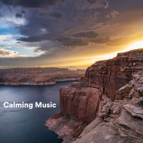 Calming Music album cover