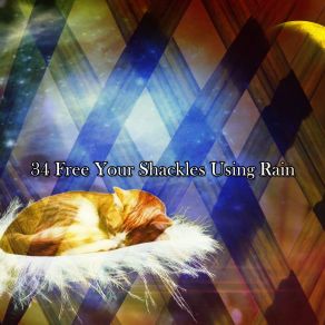 34 Free Your Shackles Using Rain album cover