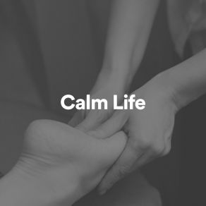 Calm Life album cover