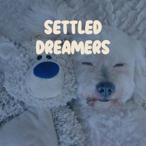 Settled Dreamers album cover
