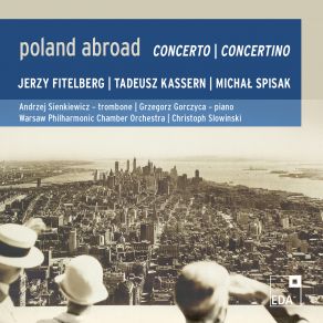 Poland Abroad Vol. 6 - Concerto - Concertino album cover