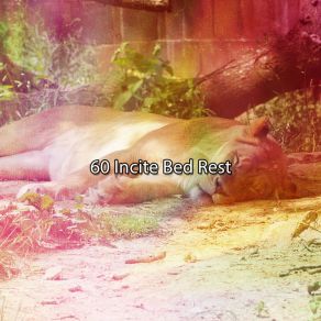 60 Incite Bed Rest album cover