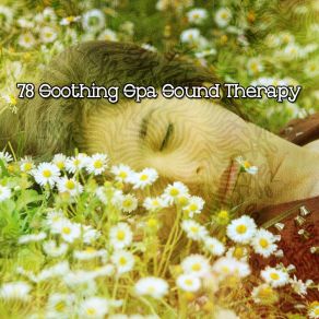 78 Soothing Spa Sound Therapy album cover