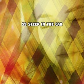 59 Sleep In The Car album cover