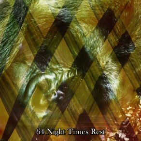 64 Night Times Rest album cover