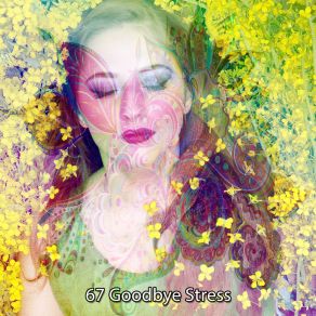 67 Goodbye Stress album cover