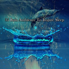 35 Rain Ambience To Inspire Sle album cover