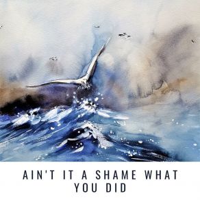 Ain't It A Shame What You Did album cover
