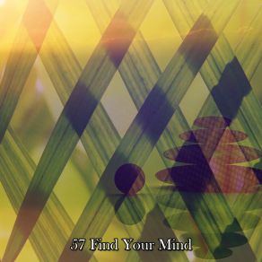 57 Find Your Mind album cover