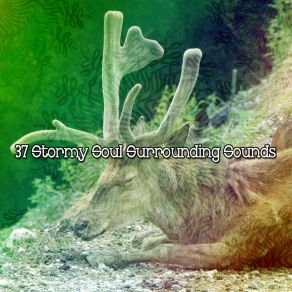 37 Stormy Soul Surrounding Sounds album cover