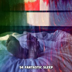 54 Fantastic Sle album cover