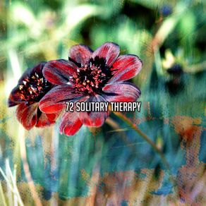 72 Solitary Therapy album cover