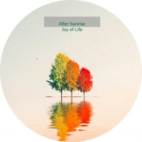 Joy Of Life album cover