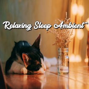 Relaxing Sleep Ambient album cover