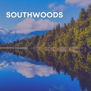 Southwoods album cover