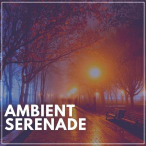 Ambient Serenade album cover