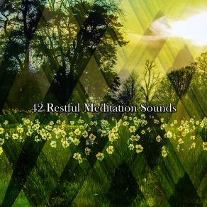 42 Restful Meditation Sounds album cover