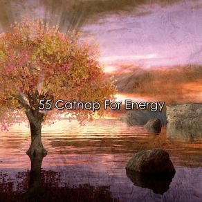 55 Catnap For Energy album cover