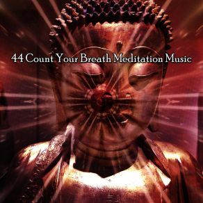 44 Count Your Breath Meditation Music album cover