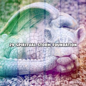 29 Spiritual Storm Foundation album cover