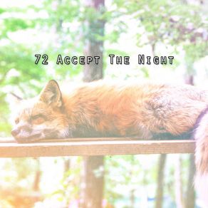 72 Accept The Night album cover