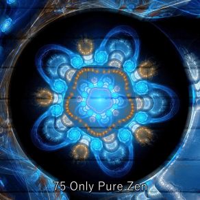 75 Only Pure Zen album cover