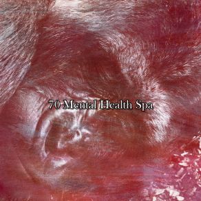 70 Mental Health Spa album cover