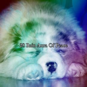 28 Rain Aura Of Peace album cover