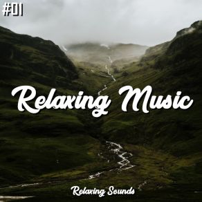 # 01 Relaxing Music Relaxing Sounds album cover