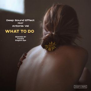 What To Do album cover