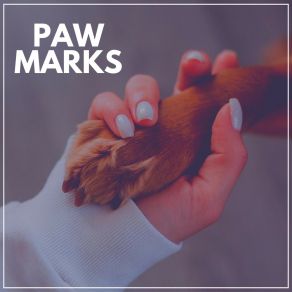 Paw Marks album cover