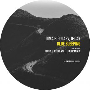 Blue Sleeping album cover