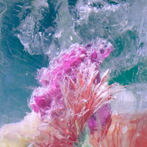 Plexiglass album cover