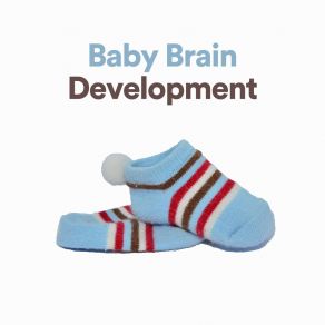 Baby Brain Development album cover