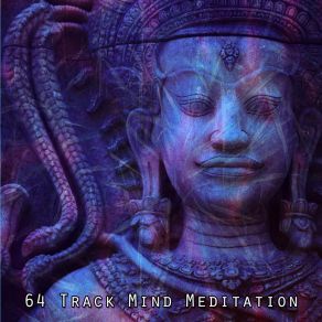 64 Track Mind Meditation album cover