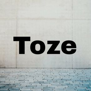 Toze album cover