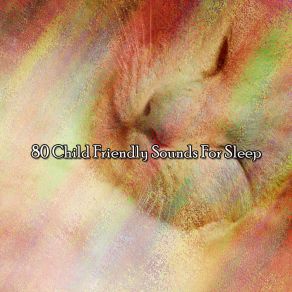 80 Child Friendly Sounds For Sle album cover