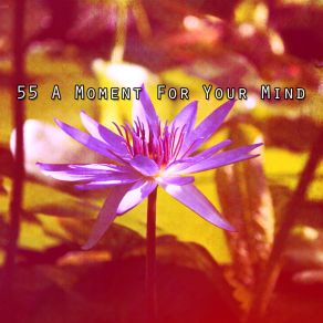 55 A Moment For Your Mind album cover